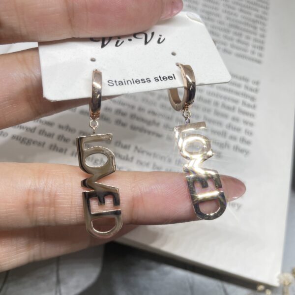 Rose Gold Stainless Steel Earrings - Image 2