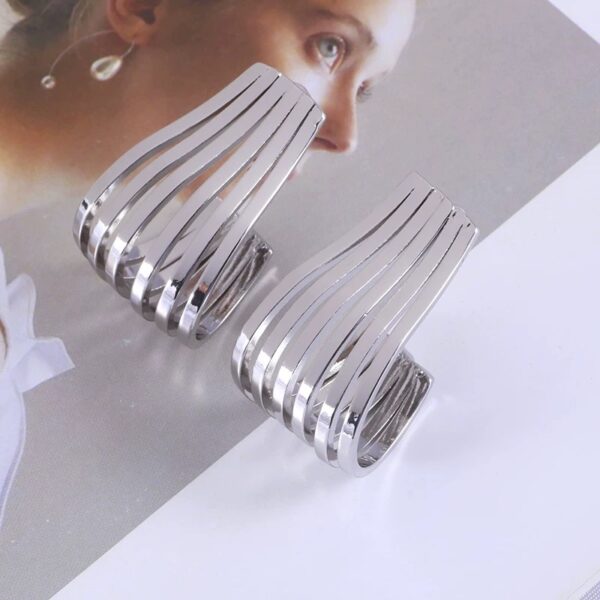 Silver Metal Earrings - Image 2