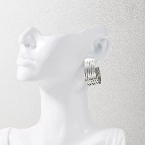 Silver Metal Earrings