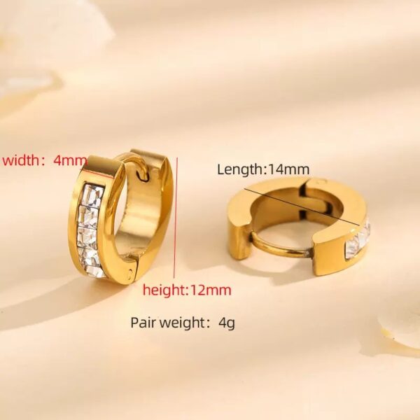 Stainless Steel Hoops - Image 2