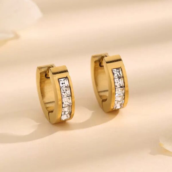 Stainless Steel Hoops - Image 3