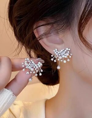 Silver Full Stone Earrings